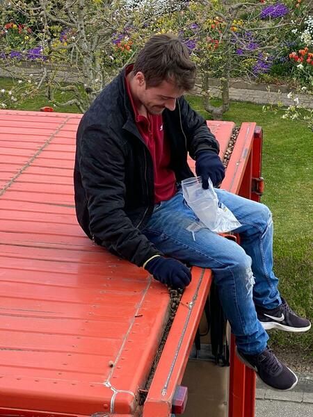 Mitarbeiter sammelt Eicheln auf LKW-Dach